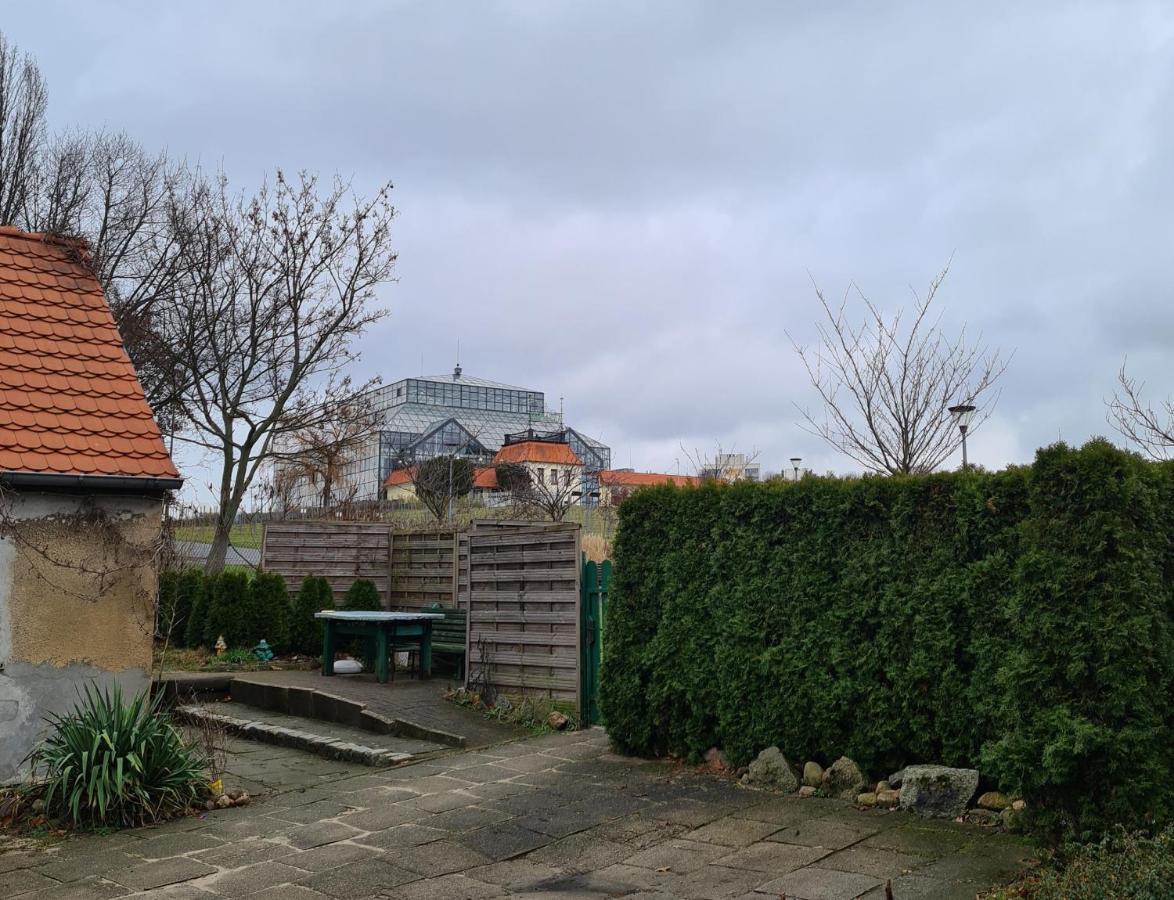 W12 Home Station - Apartement Greenpink Zielona Góra Dış mekan fotoğraf